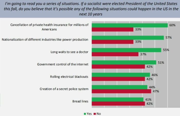 socialismo estados unidos